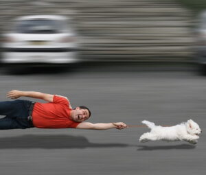 Read more about the article Avoiding my dog pulling on the lead. 7 tips.