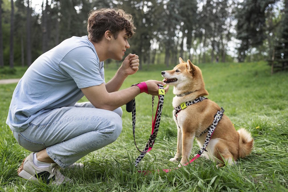 Read more about the article Dog Training and Psychotherapy: A Key Duo for Your Dog’s Wellbeing